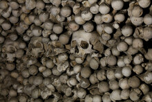 High Angle View Of Skulls