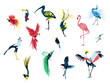 Beautiful exotic tropical birds set. Flamingo, Heron, Toucan,Hummingbird, Parrot. Tropical nature wildlife cartoon vector illustration isolated on white background