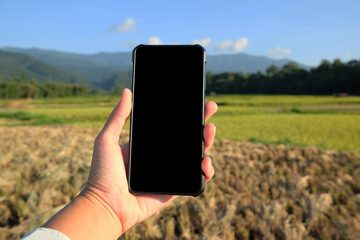 Selected focus of hand holding the smartphone with natural background. Agronomist using Smartphone in Agriculture farm. New modern lifestyle concept. 