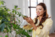 © Syda Productions - people, housework and care concept - happy smiling asian woman with tissue cleaning houseplant's leaves at home