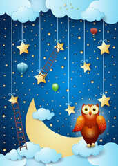 Canvas Print - Surreal sky by night with owl and ladders, vector illustration eps10