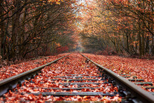 Train Tracks In The Autumn