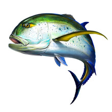Bluefin Trevally Caranx Fish Illustration Realistic Art Isolated. Big Fish Bluefin Jack Scombridae Jumps Out Of The Water.