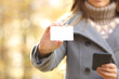 © Antonioguillem - Woman hands holding phone and showing credit card in fall