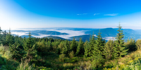 Wall Mural - cloud inversion in mountains. carpathian autumn landscape. hills in in morning light. valley full of fog in the morning. sunny weather