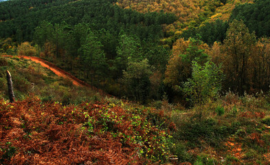 Wall Mural - autumn in the mountains