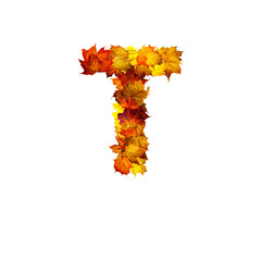 Colorful autumn leaves isolated on white background as letter T.