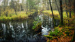 river in autumn forest