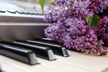 There Are Flowers On The Piano. Purple Lilac On The Keys Of An Electric Musical Instrument.