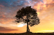 © Ivan Kmit - Silhouette of tourist under majestic tree at evening mountains meadow at sunset. Dramatic colorful scene with clear orange sky. Landscape photography