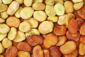 Broad(green and brown) or fava beans .Food background