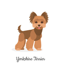 Yorkshire Terrier. Vector Illustration Of Cute Little Brown Dog In Flat Style. Isolated On White