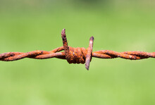 Close-up Of Rusty Barbed Wire Fence