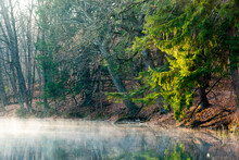 Mist Coming Off A Pond With Woods Along The Shore And A Pine Tree Lit By The Morning Sun.