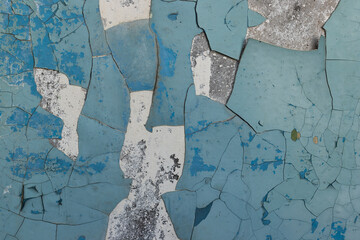 Blue peeling paint on the wall. Old concrete wall with cracked flaking paint. Weathered rough painted surface with patterns of cracks and peeling. High resolution texture for background and design.