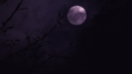 Wall Mural - purple moon at night time lapse