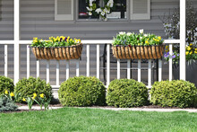 Flower Planters On The Railing