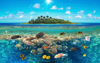 Poster - Beautiful sunny tropical beach on the island paradise in the middle of the sea