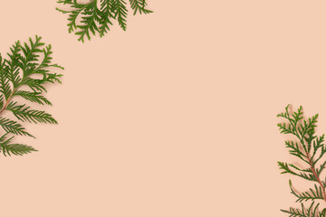 Wall Mural - Frame made of coniferous branches on a beige background. Nature concept with place for text.