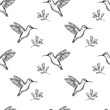 Seamless hand drawn pattern. Humming bird with flowers and leaves. Monochrome bird isolated on white background