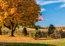 Pennsylvania Fall Landscape With American Flag