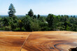 Wood table with forest view