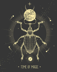 Wall Mural - Modern magic witchcraft card with moon and Curculionidae beetle. Hand drawing occult vector illustration