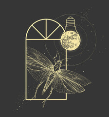 Wall Mural - Magic witchcraft window silhouette with grasshopper and full moon like light bulb. Vector illustration