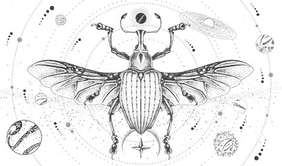 Wall Mural - Modern magic witchcraft card with solar system and Curculionidae beetle. Hand drawing occult vector illustration