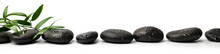 Black Wet Spa Massage Stones Isolated On White Background With Green Plant. Banner