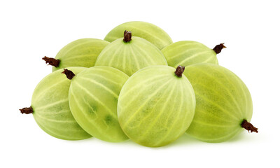 isolated green gooseberry on a white background.