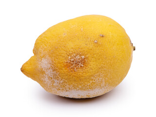 Wall Mural - Rotten lemon with mold