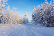 Winter Landscape With Bright Blue Sky, Sunny Winter Day.