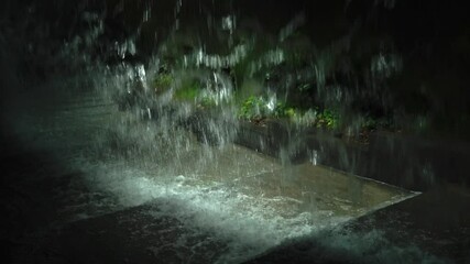 Wall Mural - night fountain overgrown with greenery, Galitskogo Park, Krasnodar