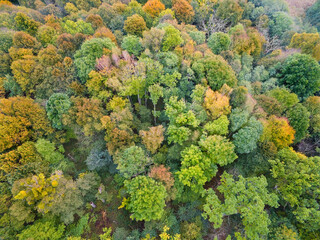 Wall Mural - Aerial view of beautiful landscape of Mazury region during autumn season