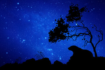 Sticker - bear under tree at night. wild animal silhouette. blue starry sky