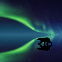 Sticker - polar bear at night. animal silhouette. northern lights in starry sky