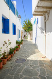 Fototapeta Uliczki - Cobbled street decorated with flower pots in Chora on Folegandros Island. Cyclades, Greece