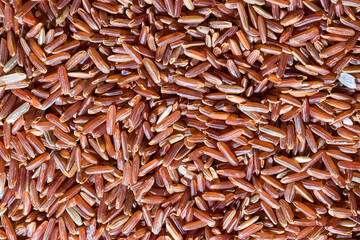 Texture of grains of red uncooked rice.