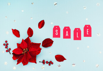 Festive winter holiday sale concept on blue paper background with Christmas flower poinsettia and red paper tags.