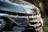 Fototapeta Koty - Splash of water on the black car