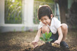 © lalalululala - Cute Asian child planting young tree on the black soil