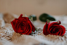Closeup Shot Of Vibrant Red Roses