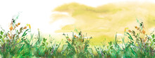 Watercolor Illustration. Vintage Wild Grass, Flowers, Plants, Sunset, Sky Orange Ink, Paint. Stylish Fashionable Card, Background, Pattern. Grunge Background. Country Landscape