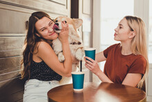Two Beautiful Girls Spend Time In A Cafe With A Dog Corgi Breed