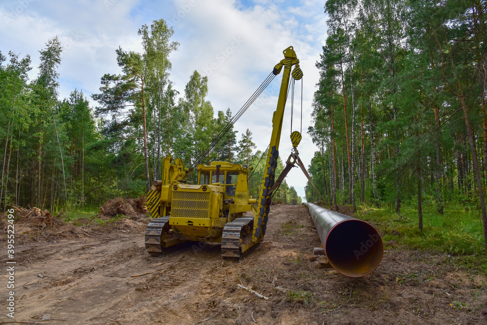 Crude oil and Natural gas pipeline construction work in forest area ...