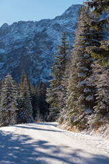 Wall Mural - vertical image of mountain scenery in winter