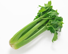 A Fresh Celery Stalk On A White Background