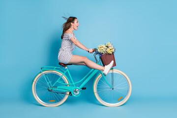 Wall Mural - Full length profile photo of crazy girl drive bike raise legs wear dotted short dress footwear isolated blue color background