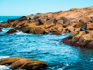 rocks and sea